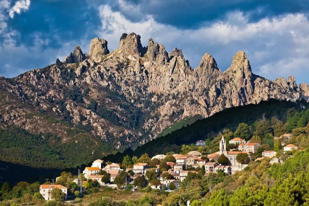 Hebergement D'Exception A Zonza Dış mekan fotoğraf